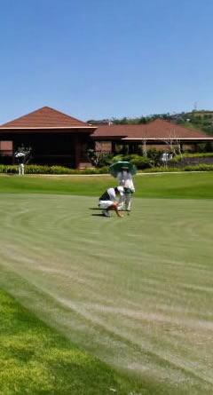 Ayala Greenfield Estates