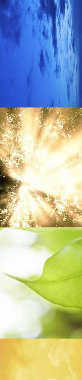 Ayala Land Premier Inc.